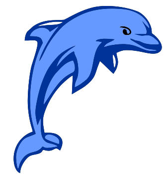 Dolphin