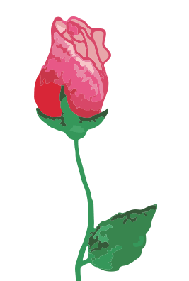 Rose3