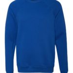 raglan sleeve sweatshirt