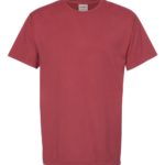 Cayenne ComfortWash by Hanes Garment-Dyed T-Shirt