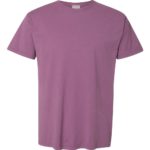 Purple Plum Raisin ComfortWash by Hanes Garment-Dyed T-Shirt