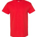 Standard Brand Unisex Value T-Shirt